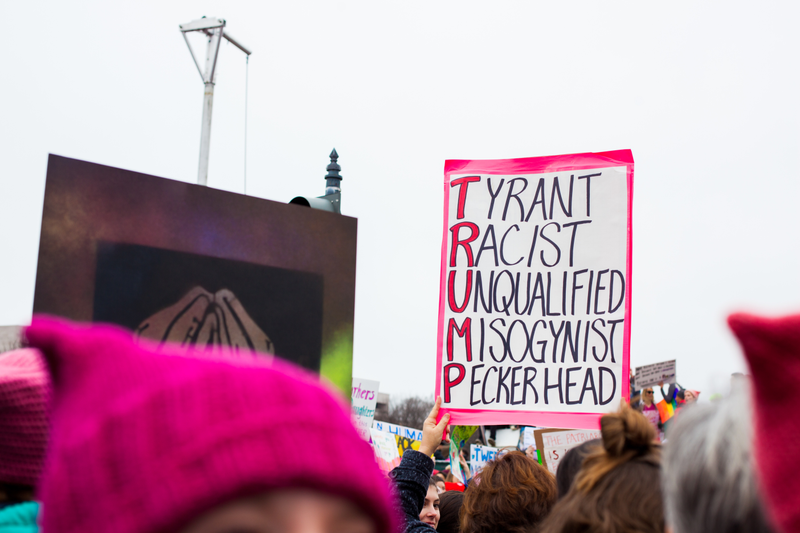 Illustration for article titled WOMEN'S MARCH ON WASHINGTON : THE SIGNS